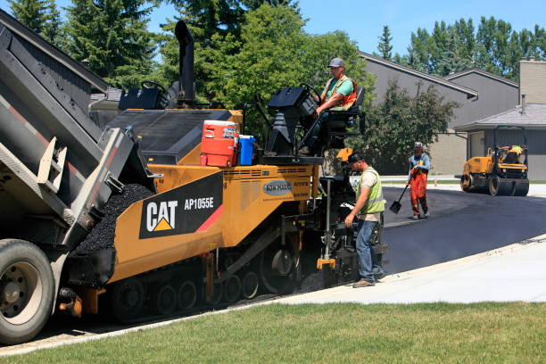 Best Residential Paver Driveway  in Loving, NM